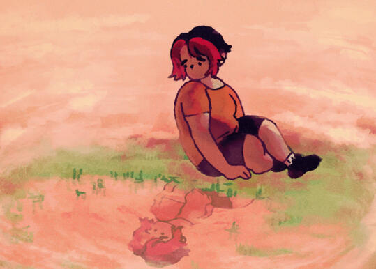 Illustration Example Illustration Example